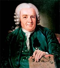 Porträtt av Carl von Linné
