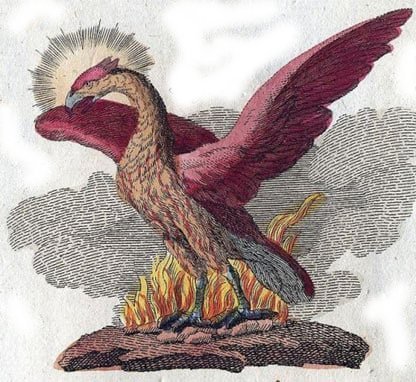 Fgel Fenix reser sig ur askan