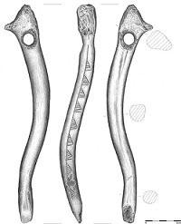 Golebiewostav2