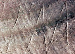 Homo deniosovans siksak-mnster