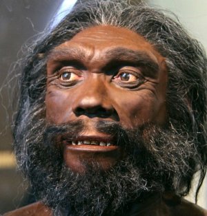 Homo heidelbergensis