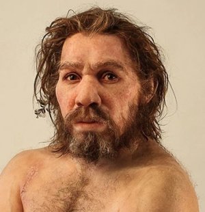 Homo neanderthalensis