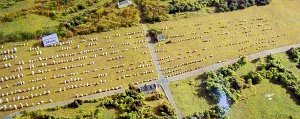 Alignementet i Menec i Morbihan