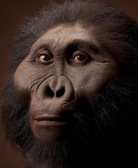 Paranthropus boisei
