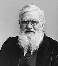 Foto av Alfred Russel Wallace